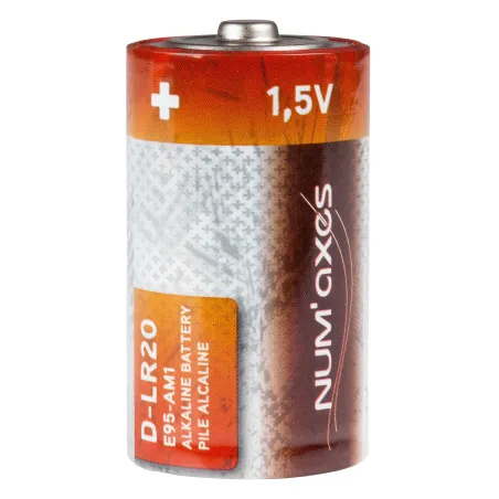 Blister 2 piles D LR20 alcalines 1,5 V Num'Axes 