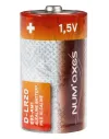 Blister 2 piles D LR20 alcalines 1,5 V Num'Axes 