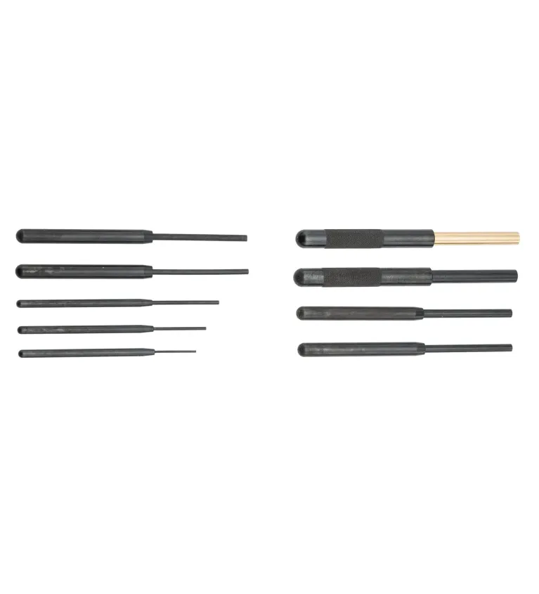 Chasse Goupille Recknagel 