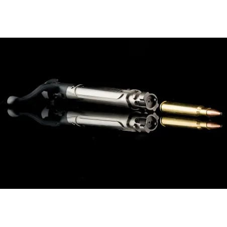 Carabine STEYR Standard SM12 Magnum 