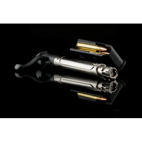 Carabine STEYR Standard SM12 Magnum 