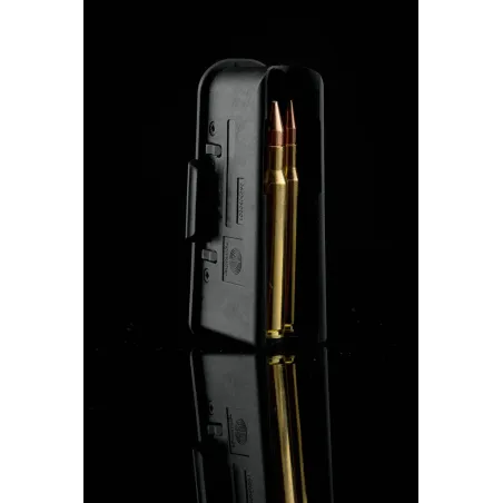 Carabine STEYR Standard SM12 Magnum 