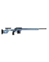 Carabine TLD Victrix Venus 22 LR 26'' 
