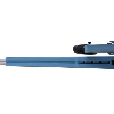 Carabine Victrix Scepter V 