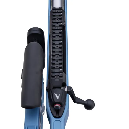 Carabine Victrix Scepter V 