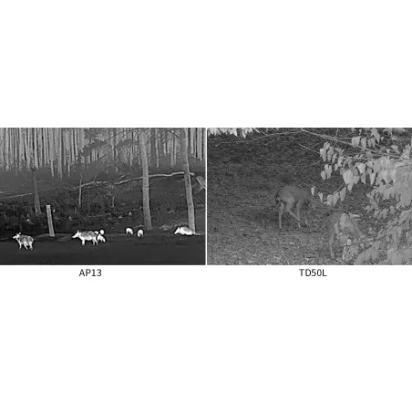 Pack INFIRAY Lunette de vision nocturne TD50L + Monoculaire thermique AP13 