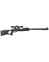 Pack Carabine Gamo Roadster IGT 10x Gen2 + lunette 4x32 wr 