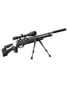 Pack carabine Gamo HPA PCP + 6-24x50 + silencieux + bipied 
