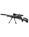 Pack carabine Gamo HPA PCP + 6-24x50 + silencieux + bipied 