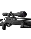 Pack carabine Gamo HPA PCP + 6-24x50 + silencieux + bipied 