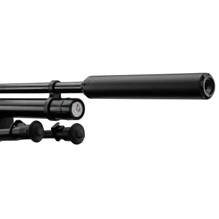 Pack carabine Gamo HPA PCP + 6-24x50 + silencieux + bipied 