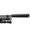 Pack carabine Gamo HPA PCP + 6-24x50 + silencieux + bipied 