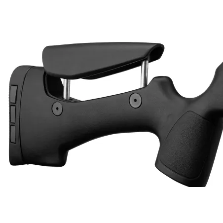 Pack carabine Gamo HPA PCP + 6-24x50 + silencieux + bipied 