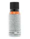 Nettoyant Carbone Brunox CarbonPfledge 