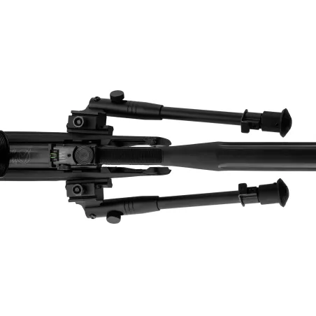 Carabine Gamo HPA IGT 19.9 joules 4.5 mm + lunette 3-9 x 40 WR + bipied 