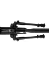 Carabine Gamo HPA IGT 19.9 joules 4.5 mm + lunette 3-9 x 40 WR + bipied 