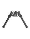 Bipied Rome Fulcrum 
