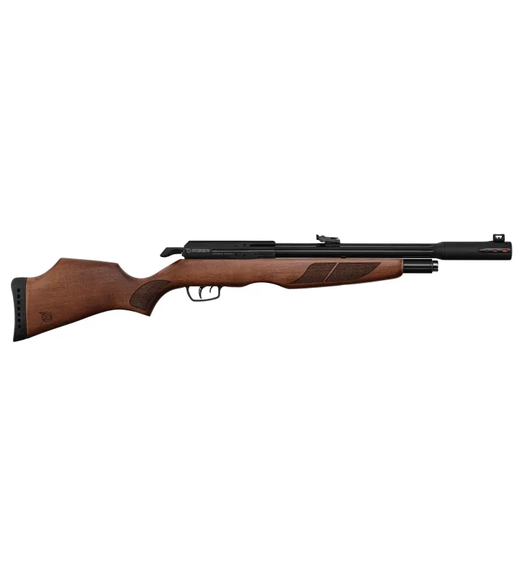 Carabine PCP Gamo RISER Punisher Cal. 5,5 mm 40 Joules 