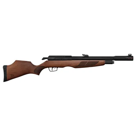 Carabine PCP Gamo RISER Punisher Cal. 5,5 mm 40 Joules 
