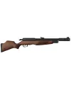 Carabine PCP Gamo RISER Punisher Cal. 5,5 mm 40 Joules 