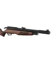 Carabine PCP Gamo RISER Punisher Cal. 5,5 mm 40 Joules 