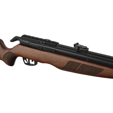 Carabine PCP Gamo RISER Punisher Cal. 5,5 mm 40 Joules 