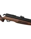 Carabine PCP Gamo RISER Punisher Cal. 5,5 mm 40 Joules 