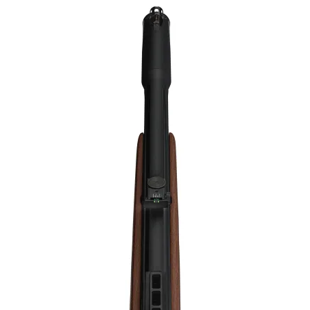 Carabine PCP Gamo RISER Punisher Cal. 5,5 mm 40 Joules 
