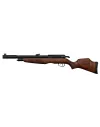 Carabine PCP Gamo RISER Punisher Cal. 5,5 mm 40 Joules 
