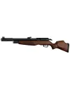 Carabine PCP Gamo RISER Punisher Cal. 5,5 mm 40 Joules 