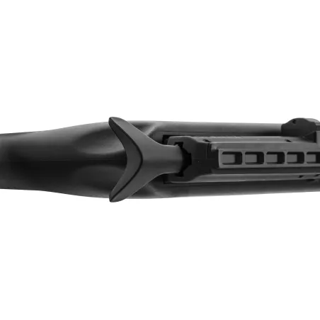 Carabine PCP Gamo Arrow 4.5mm 