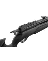 Carabine PCP Gamo Arrow 4.5mm 