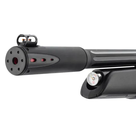 Carabine PCP Gamo Arrow 4.5mm 