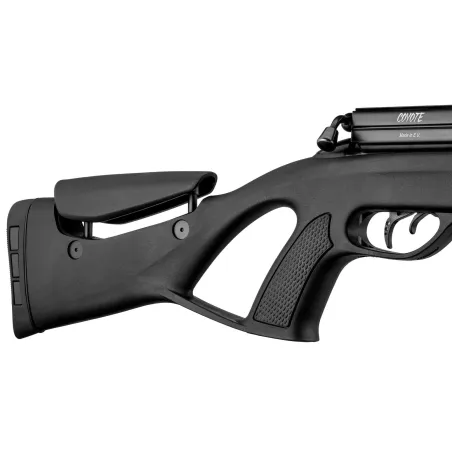 Carabine PCP Gamo COYOTE Synthétique 