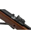Carabine Gamo CFX ROYAL à canon fixe - 19,9J 