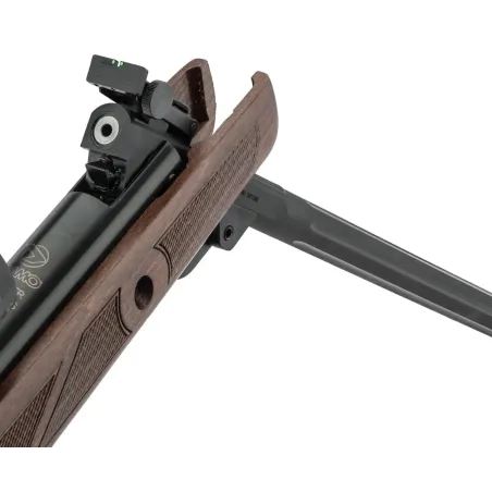 Carabine Gamo Hunter 440 AS + lunette 3-9 x 40 wr 