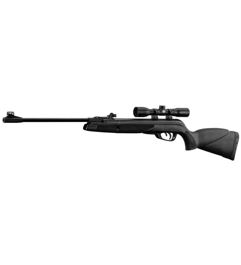 Carabine Gamo Black Shadow + Lunette + Plombs Pro Match 