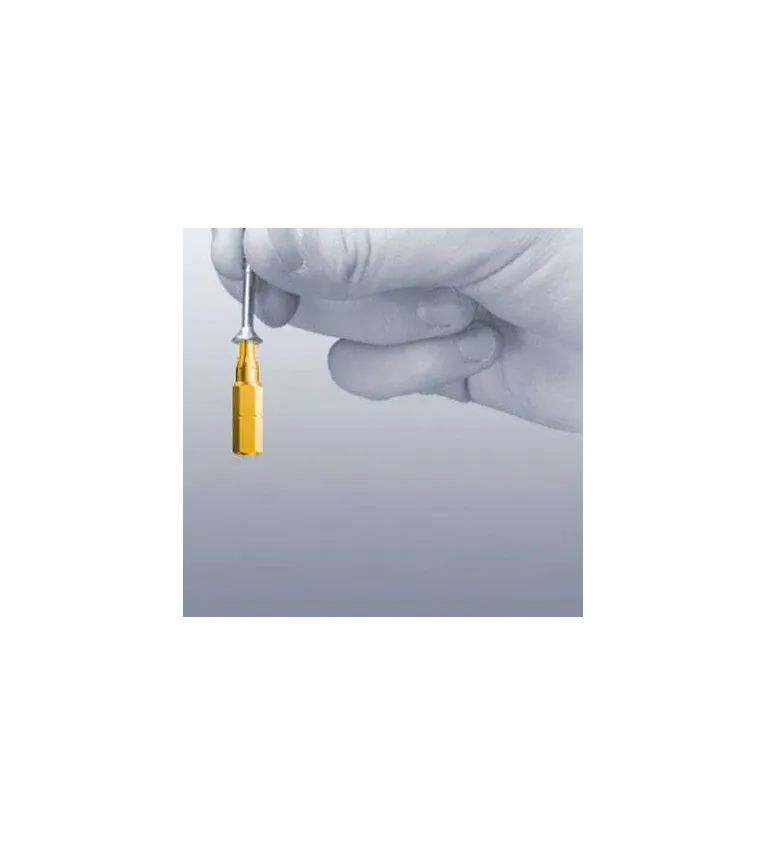 Embout de vissage Torx HF 