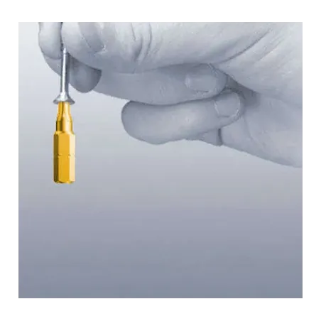 Embout de vissage Torx HF 