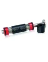 Dts Kinetic Balancer Caesar Guerini 