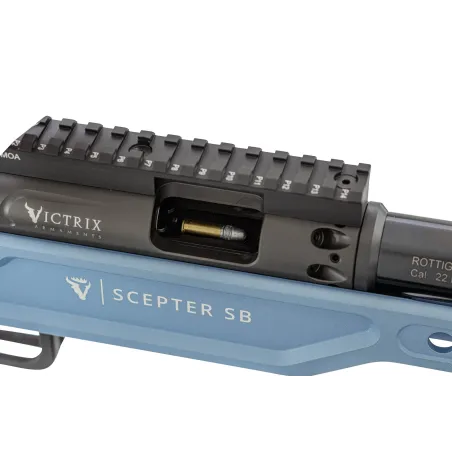 Carabine monocoup à verrou Victrix Scepter Small Bore 22LR 