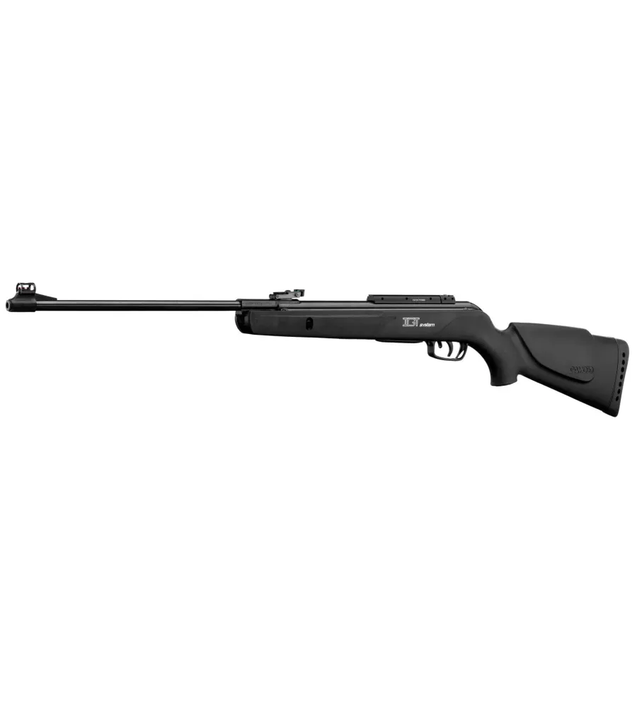 Carabine à plomb Gamo BIG CAT 1000-E IGT Cal. 4,5 mm 