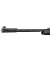 Carabine Gamo Black Fusion IGT 29 Joules + 4X32 wr 