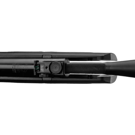 Carabine Gamo Black Fusion IGT 29 Joules + 4X32 wr 