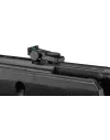 Carabine Gamo Black Fusion IGT 29 Joules + 4X32 wr 