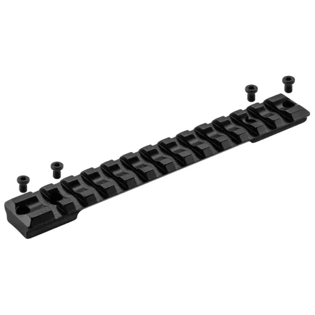Rails longs type Picatinny RECKNAGEL 