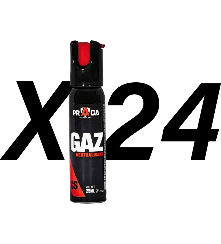 Pack bombes de défense gaz CS 25 ml x24 