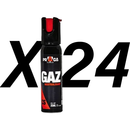 Pack bombes de défense gaz CS 25 ml x24 
