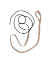 Cordon de nettoyage Browning 
