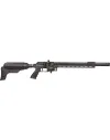 Carabine PCP FX Dynamic Express 500 